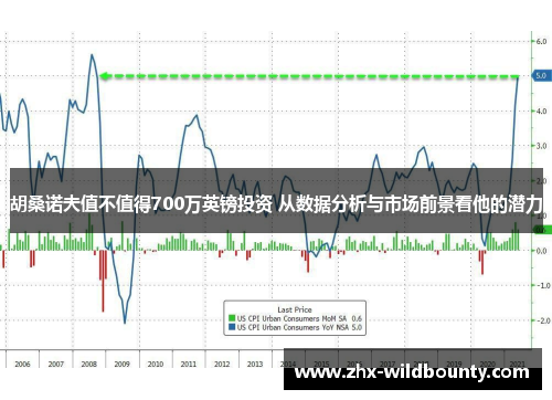 胡桑诺夫值不值得700万英镑投资 从数据分析与市场前景看他的潜力