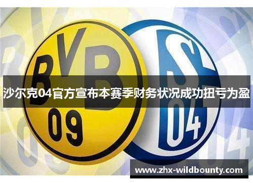 沙尔克04官方宣布本赛季财务状况成功扭亏为盈