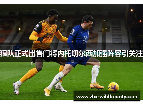 狼队正式出售门将内托切尔西加强阵容引关注 狼队正式出售门将内托切尔西加强阵容引关注